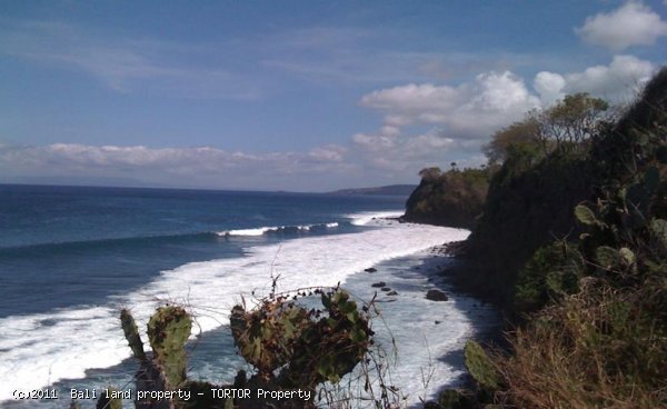 Ocean front 5100 m2 plot sale 110 metres sea frontage Karangasem land