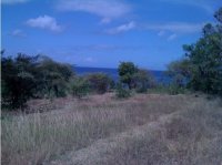 Ocean front 5100 m2 plot sale 110 metres sea frontage Karangasem land: