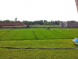New Bali Canggu 3 bedroom luxury villa for sale rice field views: