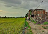 New Bali Canggu 3 bedroom luxury villa for sale rice field views: