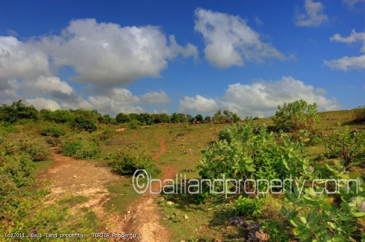 Pure Bali cliff front land for sale stunning views Bali property investment