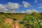 Pure Bali cliff front land for sale stunning views Bali property investment: