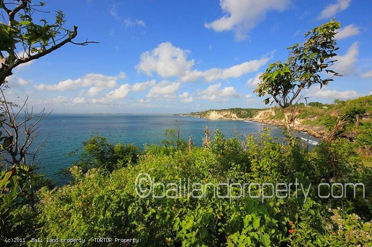 Pure Bali cliff front land for sale stunning views Bali property investment