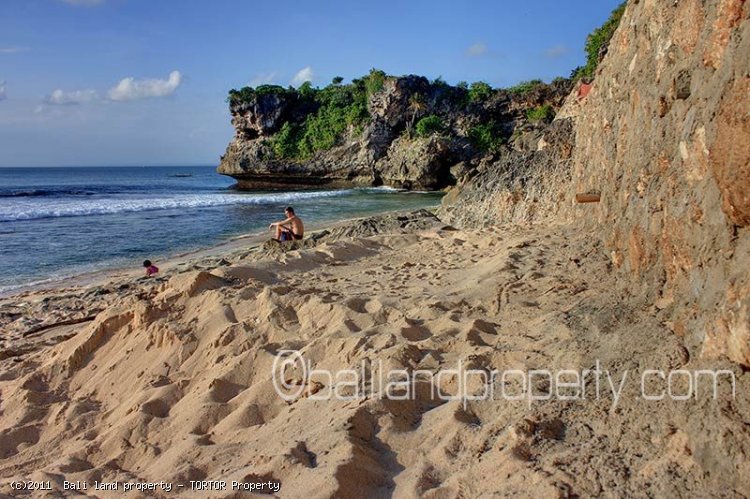 Pure Bali cliff front land for sale stunning views Bali property investment