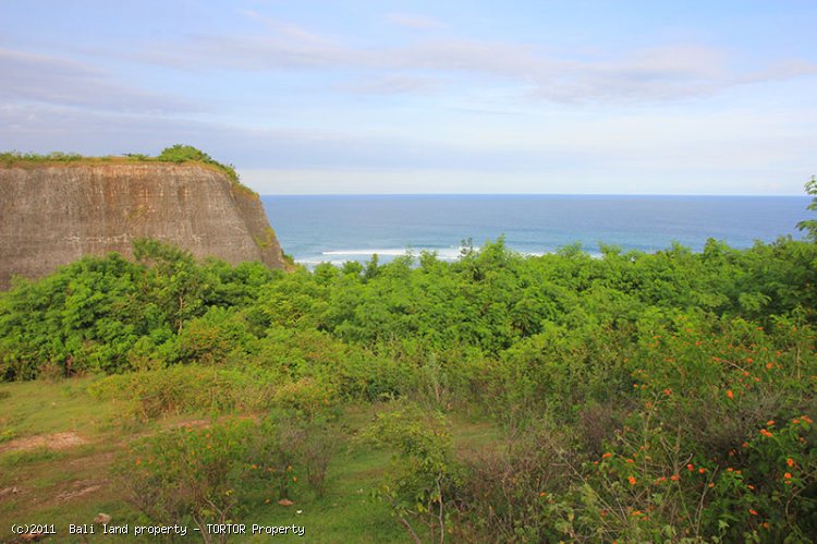 Large land South Bali for hotel resort or villas ocean views