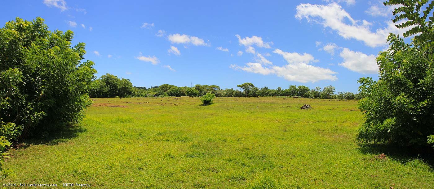 Cliff front land in South Bali 21600m2