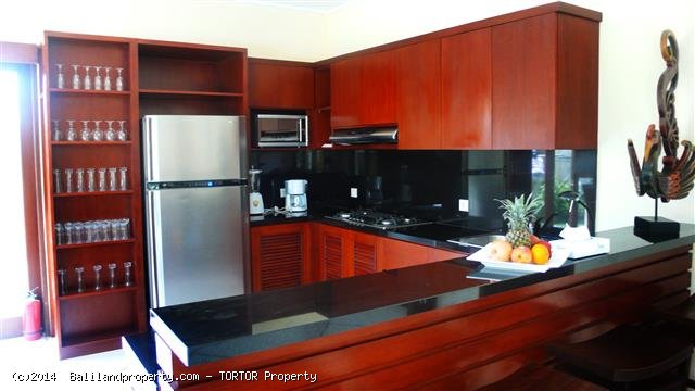 Profitable holiday villa 3.5 bedrooms t-shaped pool