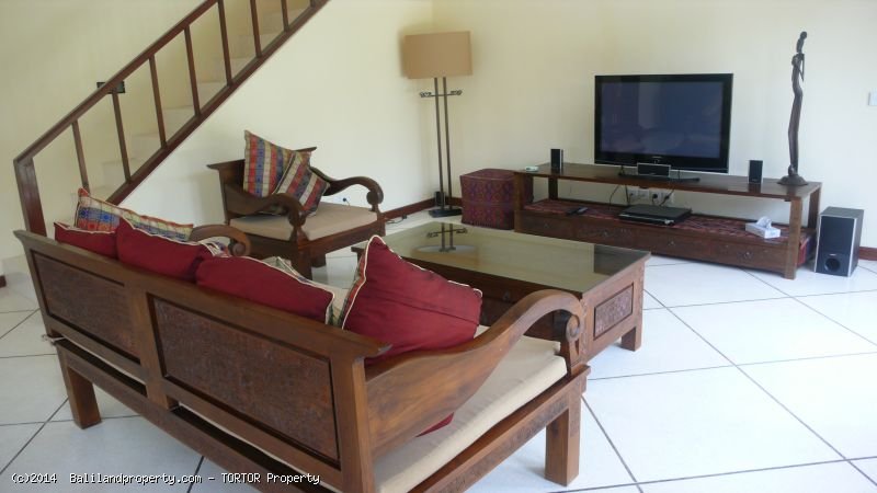 Profitable holiday villa 3.5 bedrooms t-shaped pool