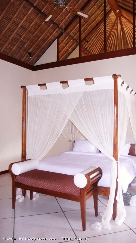 Profitable holiday villa 3.5 bedrooms t-shaped pool