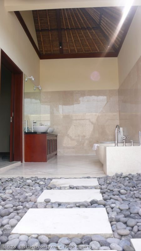 Profitable holiday villa 3.5 bedrooms t-shaped pool