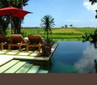 Bali freehold estate for sale 4 villas 7 bedrooms great turnovers