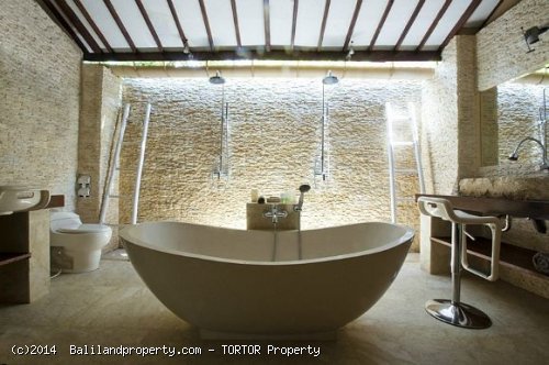 Spacious 3 bedroom villa rental property in Drupadi