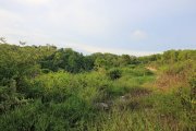 Land for sale in Bukit 35000m2 with great views near Bulgari: