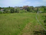 For sale good shaped 1500m2 Bali land plot perfect for villa: