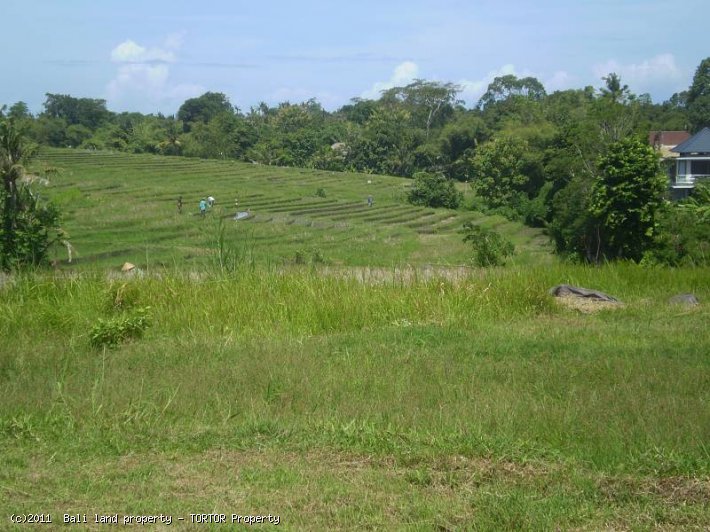 For sale good shaped 1500m2 Bali land plot perfect for villa