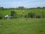 For sale good shaped 1500m2 Bali land plot perfect for villa: