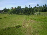 For sale good shaped 1500m2 Bali land plot perfect for villa: