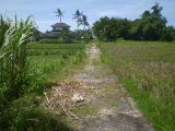 For sale good shaped 1500m2 Bali land plot perfect for villa:
