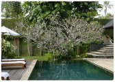Luxury Bali villa estate for sale 7 bedrooms 4 villas near beach: