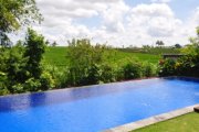 Bali 3 bedroom Canggu villa for yearly rent rice fields infinity pool: