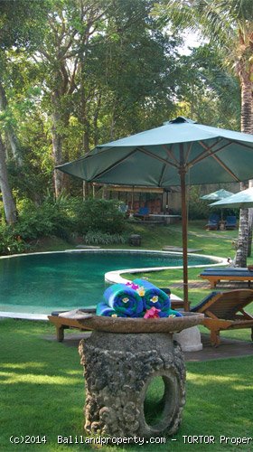 Large 2200m2 freehold 5 bedroom property with 4 buildings