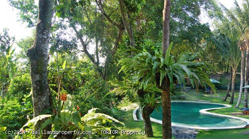 Large 2200m2 freehold 5 bedroom property with 4 buildings