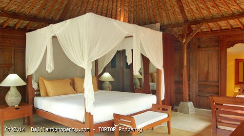 Large 2200m2 freehold 5 bedroom property with 4 buildings