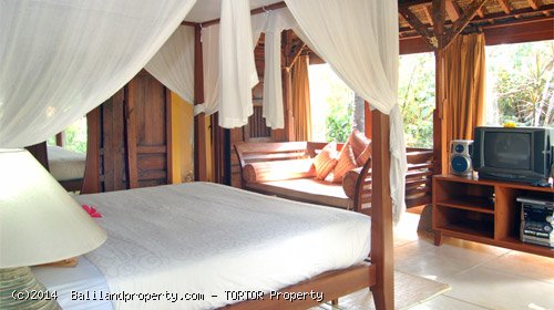 Large 2200m2 freehold 5 bedroom property with 4 buildings