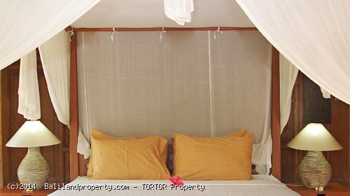 Large 2200m2 freehold 5 bedroom property with 4 buildings