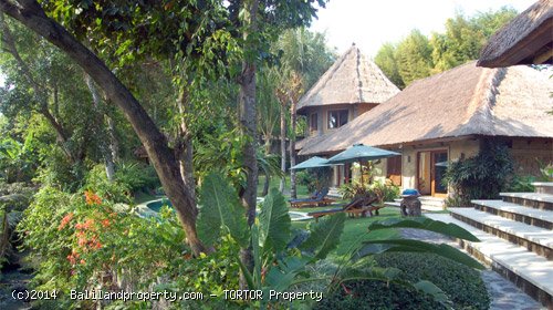 Large 2200m2 freehold 5 bedroom property with 4 buildings