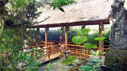 Large 2200m2 freehold 5 bedroom property with 4 buildings