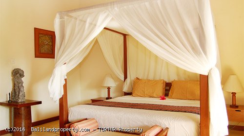 Large 2200m2 freehold 5 bedroom property with 4 buildings