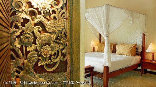 Large 2200m2 freehold 5 bedroom property with 4 buildings