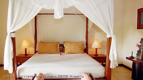 Large 2200m2 freehold 5 bedroom property with 4 buildings