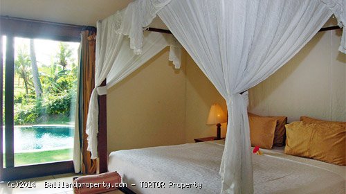 Large 2200m2 freehold 5 bedroom property with 4 buildings