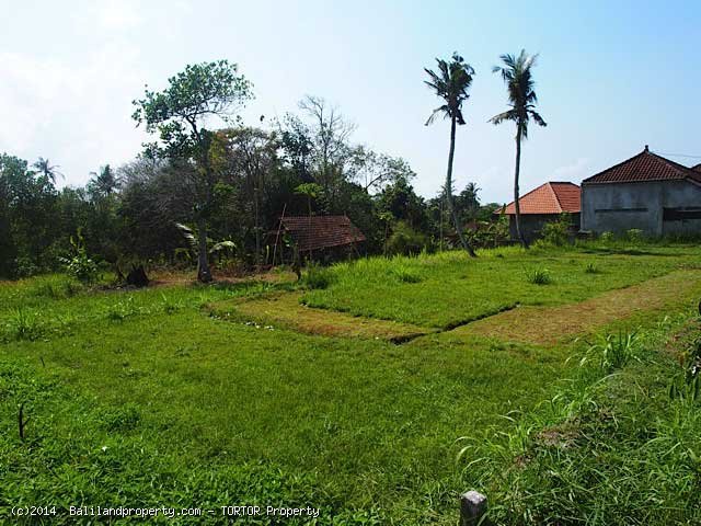 Large plot near beach for quick sale in