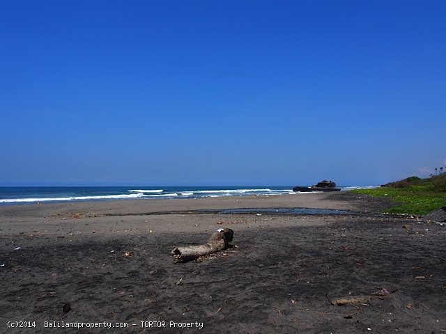 Large plot near beach for quick sale in