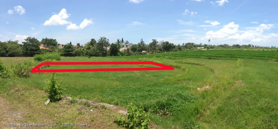  Rectangular shaped 400m2 land perfect for villa