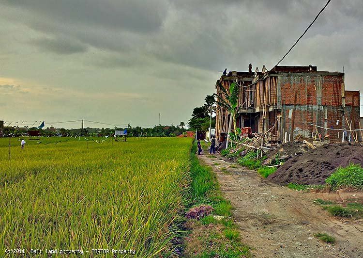 New Bali Canggu 3 bedroom luxury villa for sale rice field views