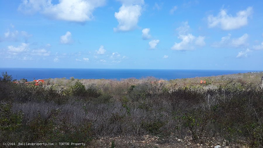 Large freehold 13000m2 ocean view near Bulgary