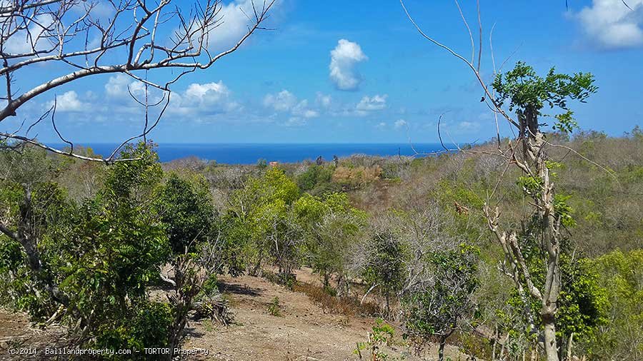 Large freehold 13000m2 ocean view near Bulgary