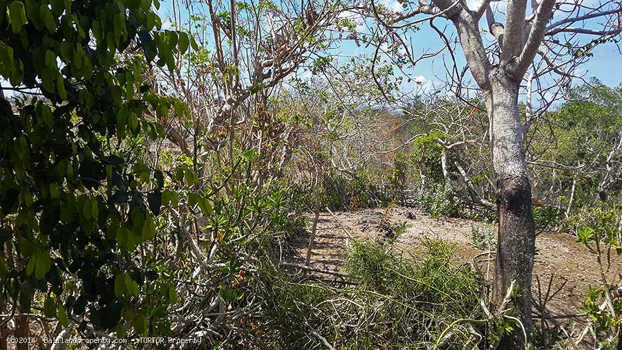 Large freehold 13000m2 ocean view near Bulgary