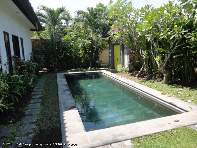 Three bedroom house with pool in great location