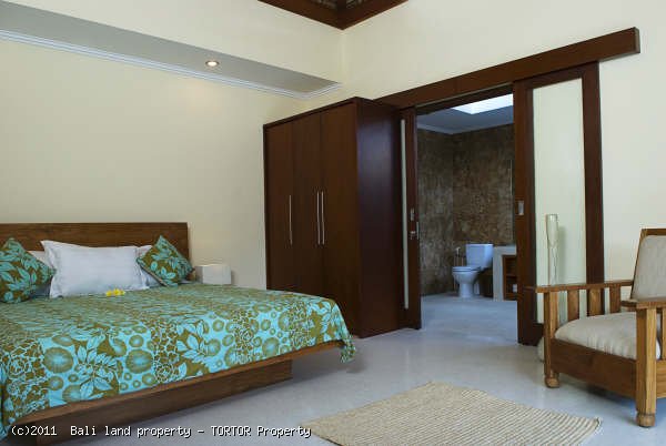 Bali Seminyak holiday villa for sale 2 bedrooms vacation rental