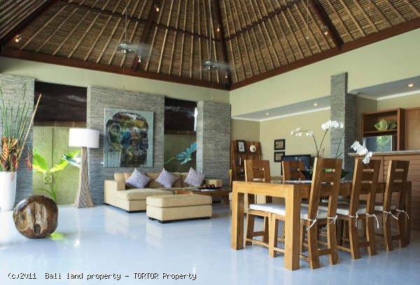 Bali Seminyak holiday villa for sale 2 bedrooms vacation rental