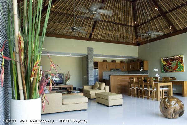 Bali Seminyak holiday villa for sale 2 bedrooms vacation rental