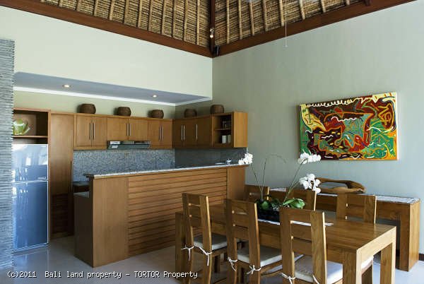 Bali Seminyak holiday villa for sale 2 bedrooms vacation rental