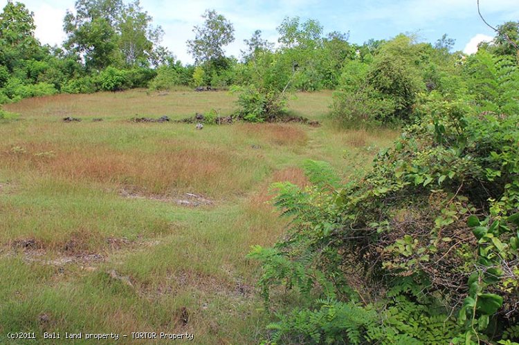 Pure cliff front investment in Padang Bali stunning views 15300m2 plot