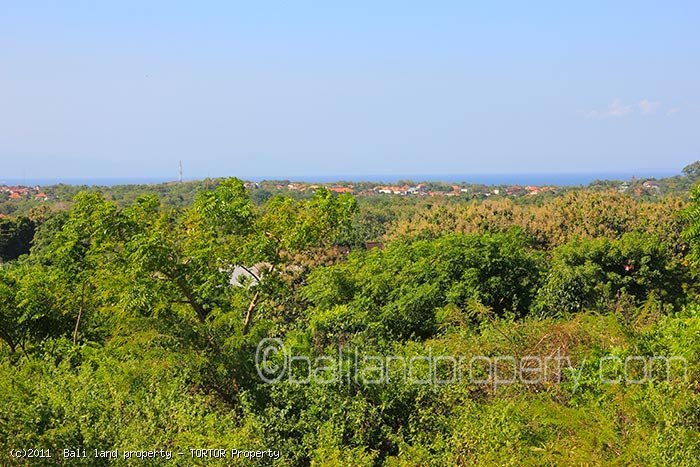 Affordable 1 hectare Bali land plot sale with panoramic views
