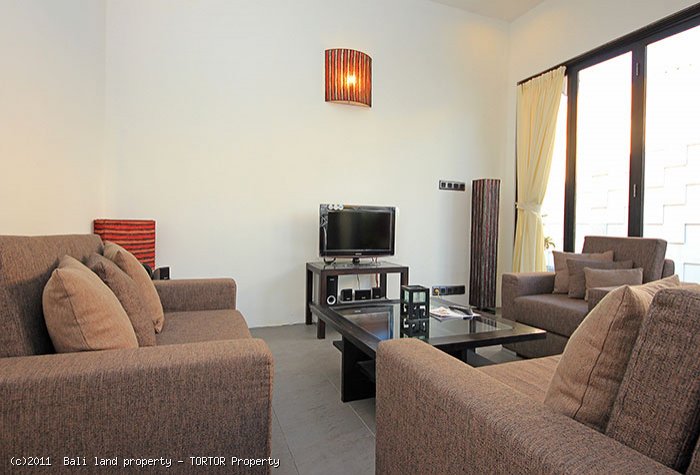 Bali Seminyak villa for sale 2 bedrooms modern designed